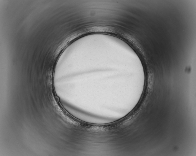 X0000115011033200911231222
