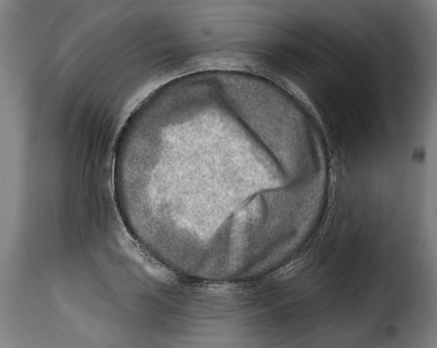 X0000115011035200911231222