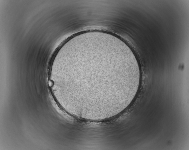 X0000115011038200911231222