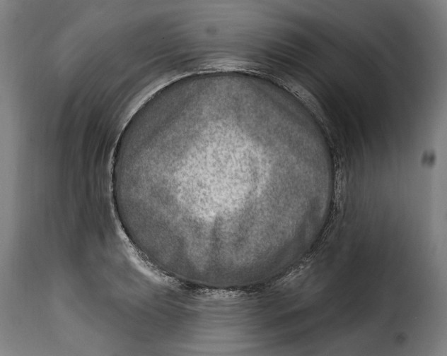 X0000115011039200911231222