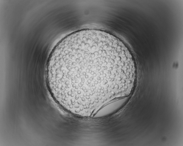 X0000115011040200911231222
