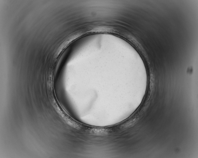 X0000115011041200911231222