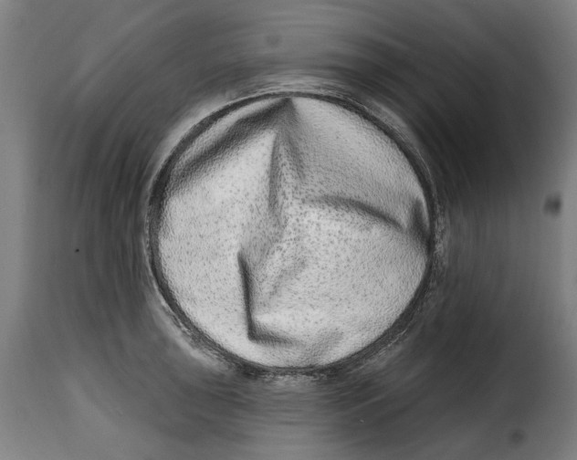 X0000115011043200911231222