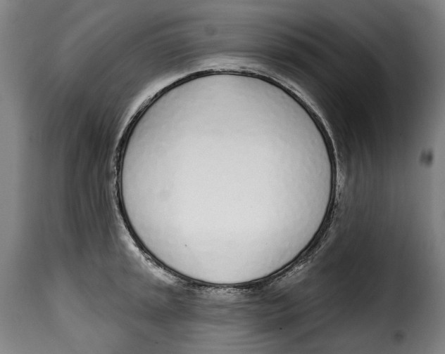 X0000115011045200911231222