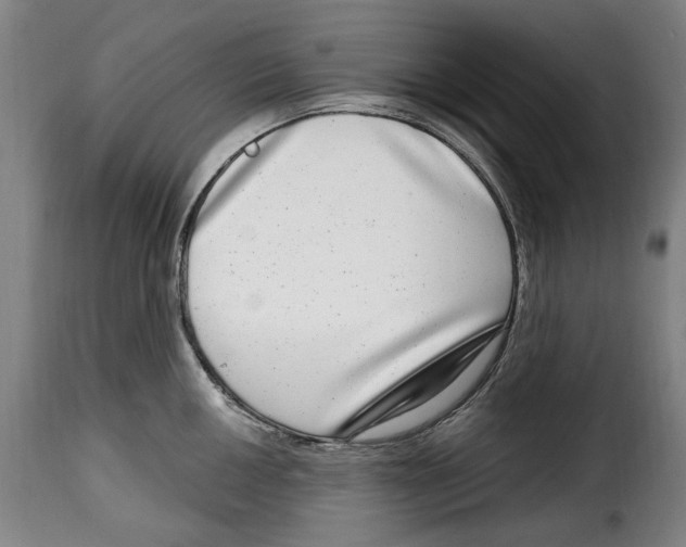 X0000115011050200911231222