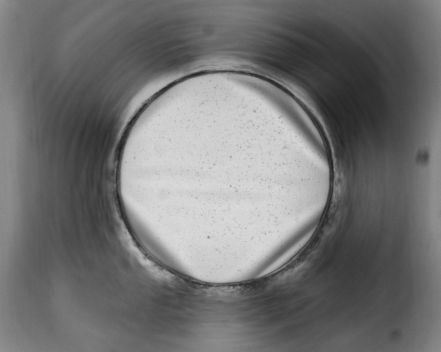 X0000115011053200911231222