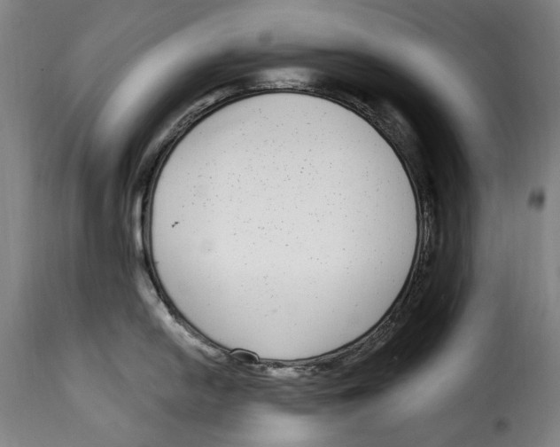 X0000115011054200911231222