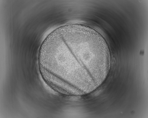 X0000115011055200911231222