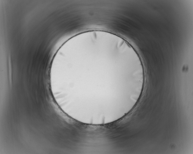 X0000115011056200911231223