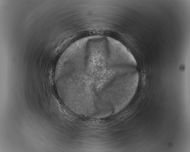 X0000115011060200911231222