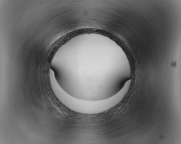X0000115011064200911231222