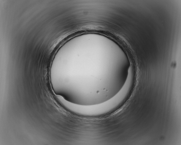 X0000115011065200911231222