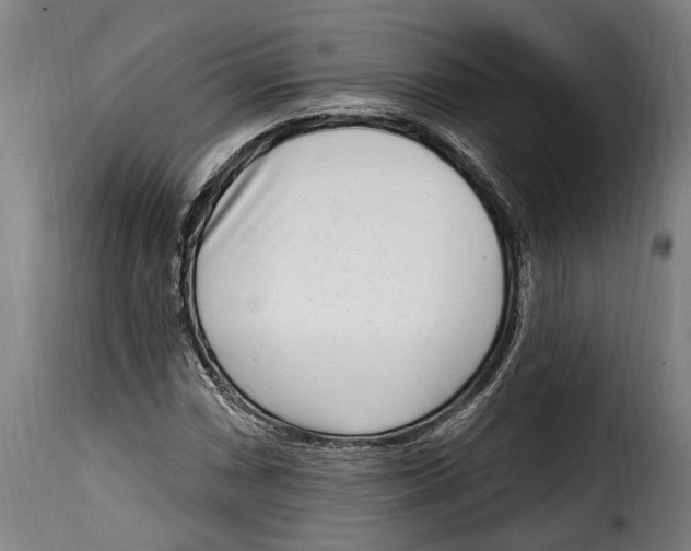 X0000115011066200911231222