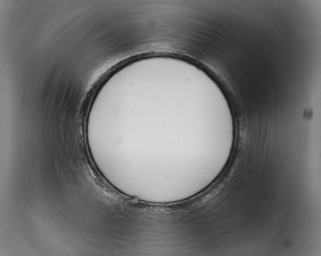 X0000115011070200911231222