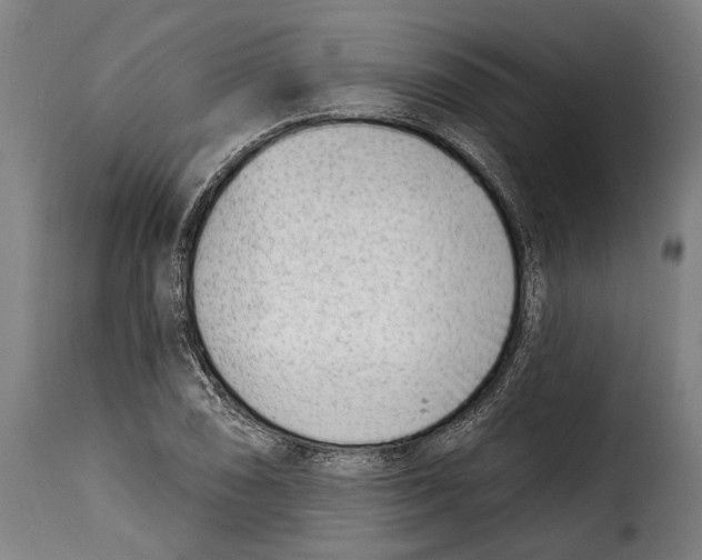 X0000115011074200911231222