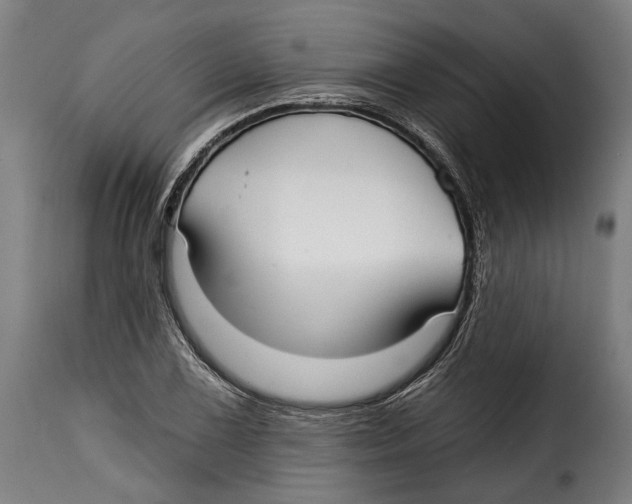 X0000115011075200911231222