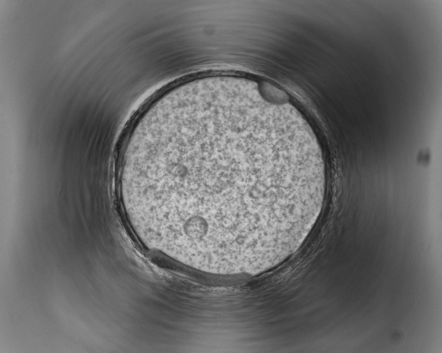 X0000115011076200911231222