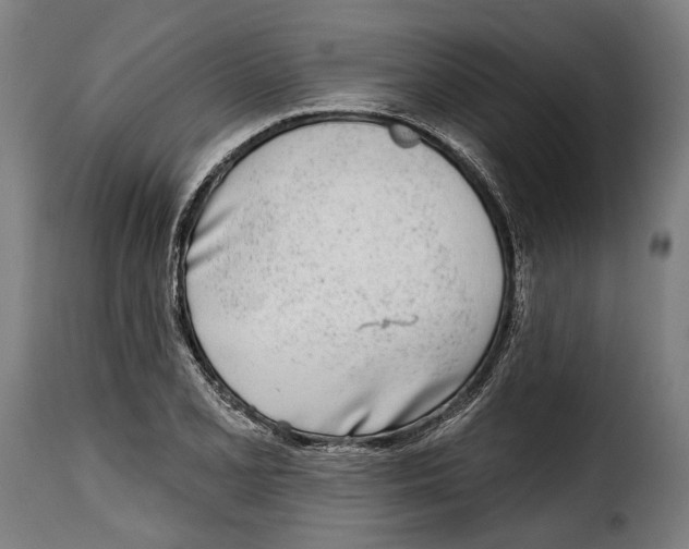 X0000115011077200911231222