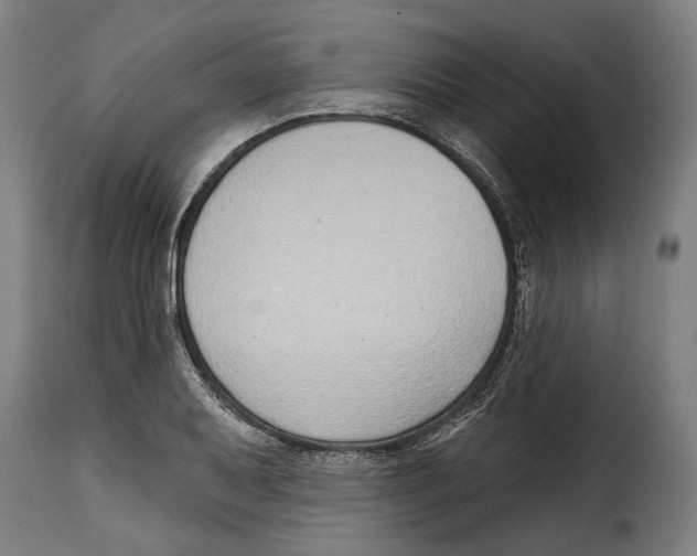 X0000115011079200911231222