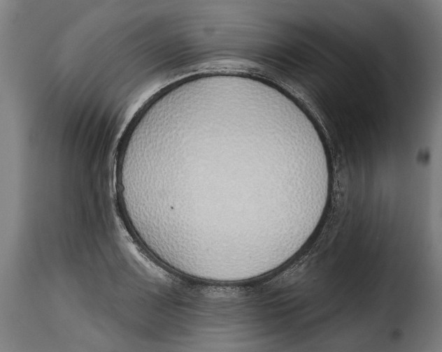 X0000115011083200911231221