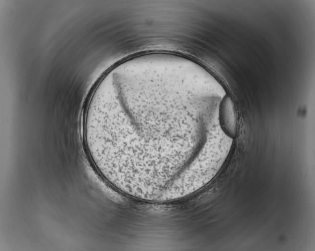 X0000115011084200911231221