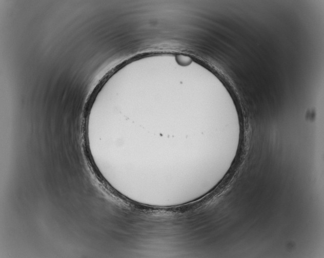 X0000115011085200911231221