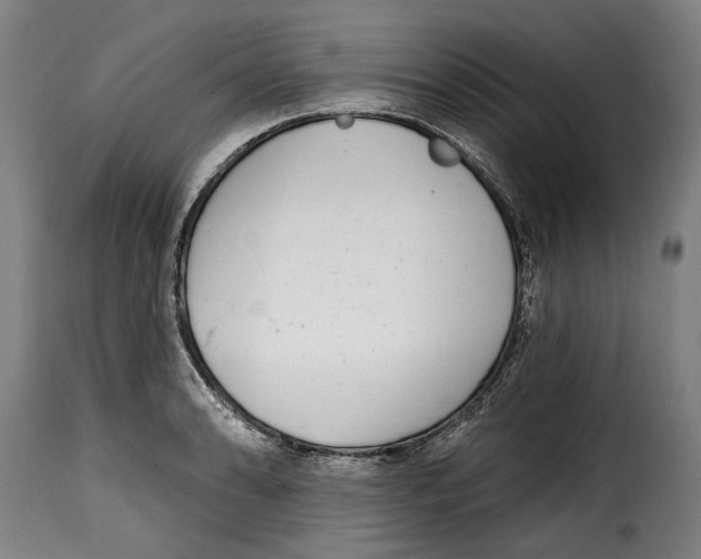 X0000115011086200911231221