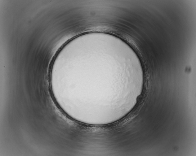 X0000115011087200911231221