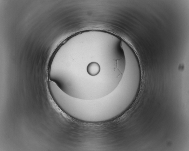 X0000115011088200911231221