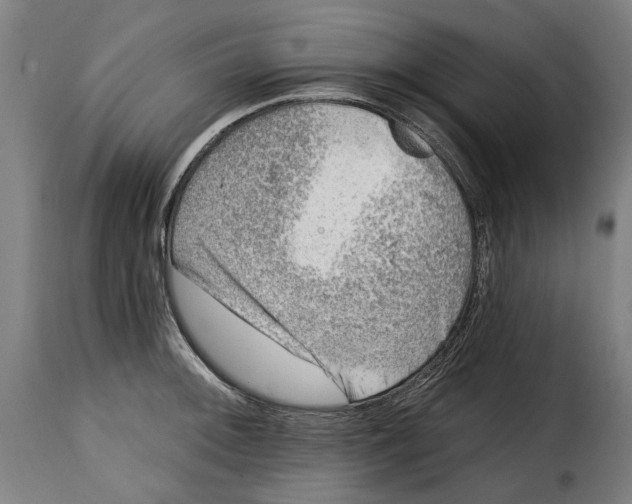 X0000115011092200911231221