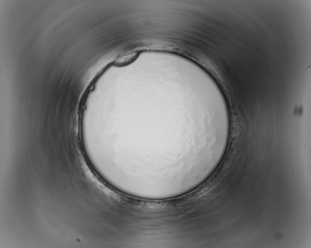 X0000115011095200911231221