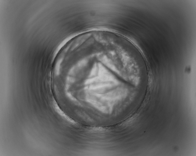 X0000115011100200911231221