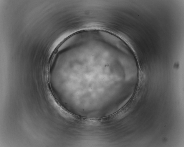 X0000115011101200911231221