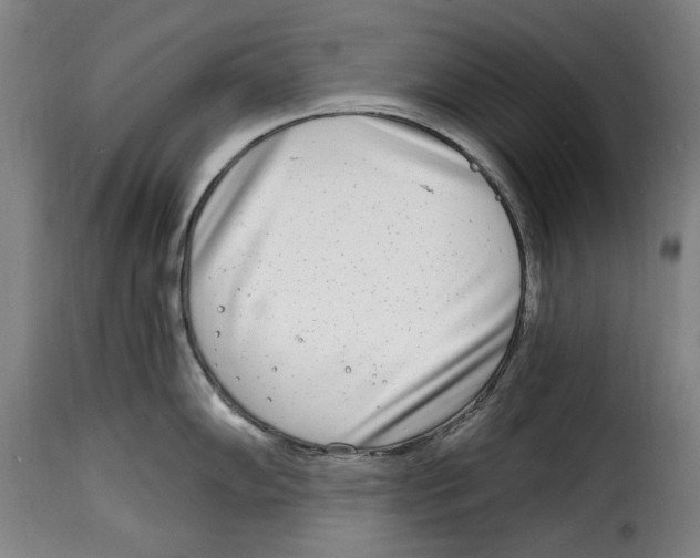 X0000115011102200911231221