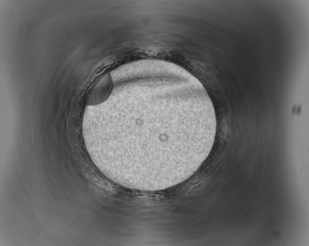 X0000115011105200911231221