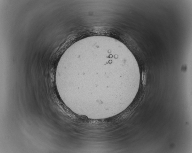 X0000115011107200911231221