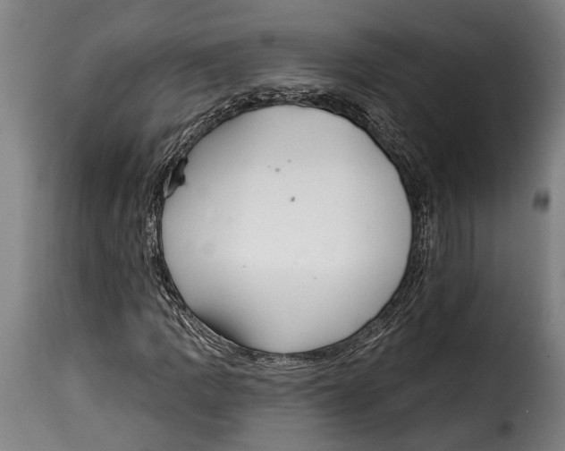 X0000115011109200911231221