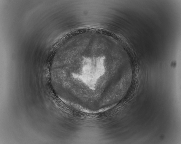 X0000115011110200911231221