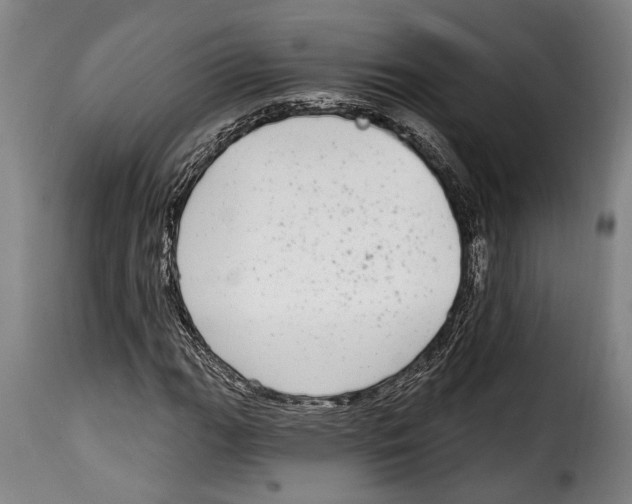 X0000115011111200911231221