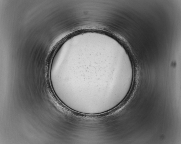 X0000115011114200911231221