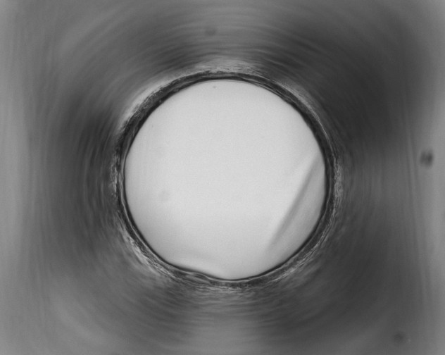 X0000115011115200911231221
