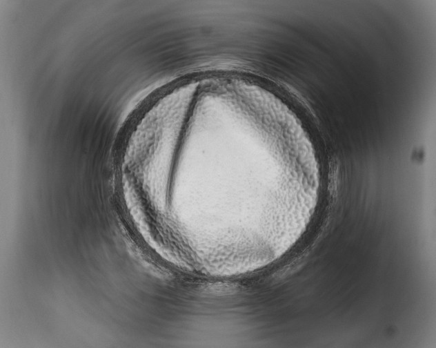 X0000115011117200911231221