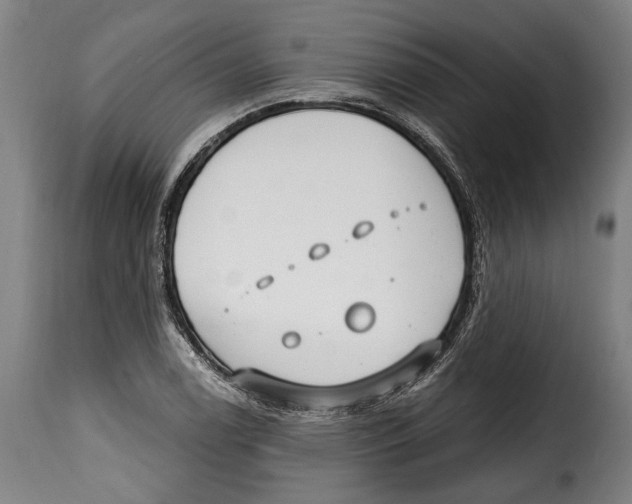 X0000115011122200911231221