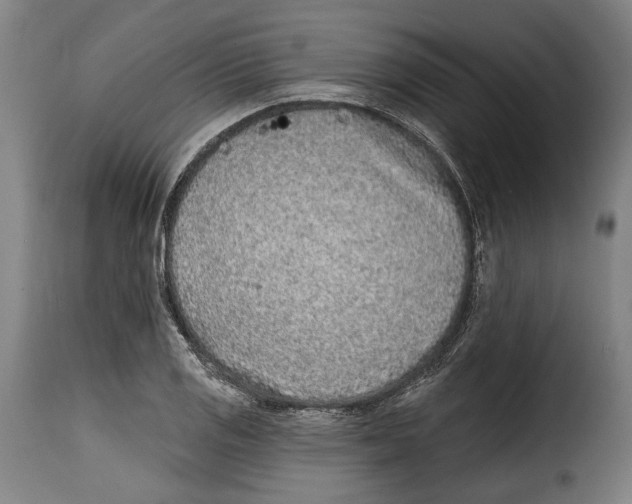 X0000115011125200911231221
