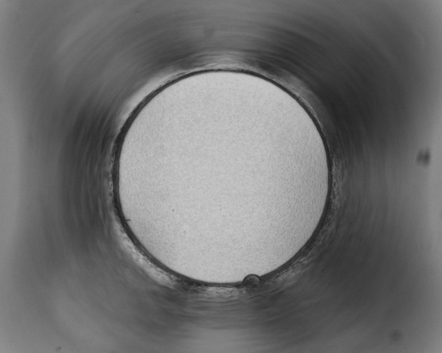 X0000115011142200911231221