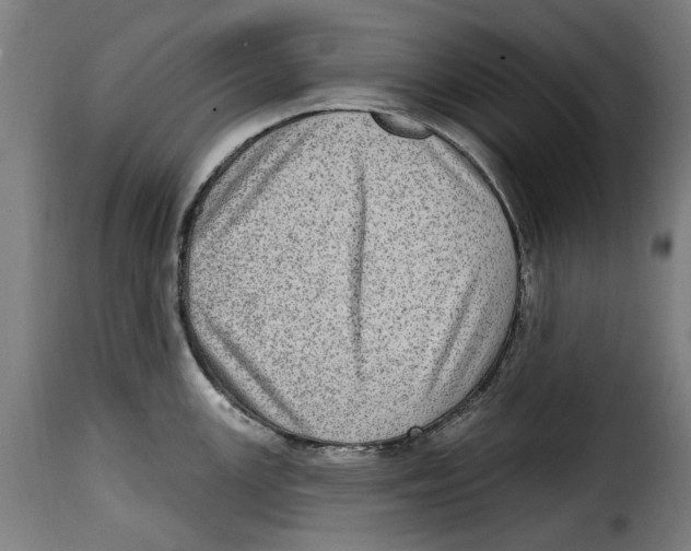 X0000115011147200911231221