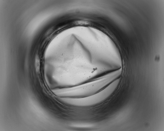 X0000115011151200911231221