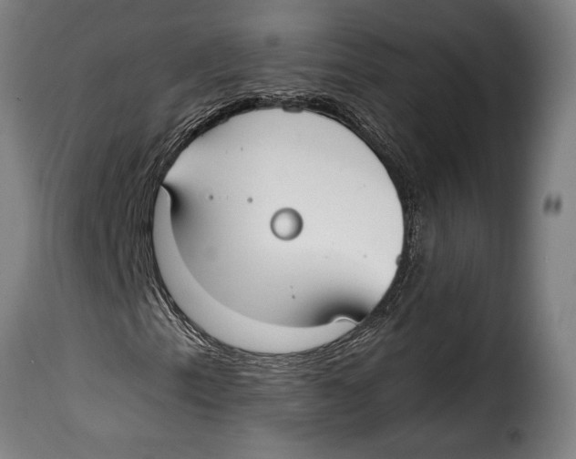 X0000115011153200911231221