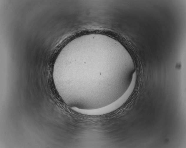 X0000115011157200911231220