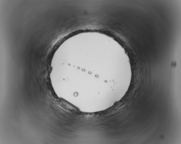 X0000115011160200911231220